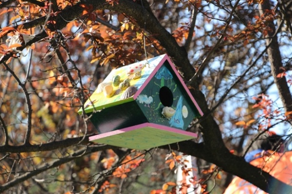 Üç Fidan Gençlik Parkı kuş evleri ile renklendi