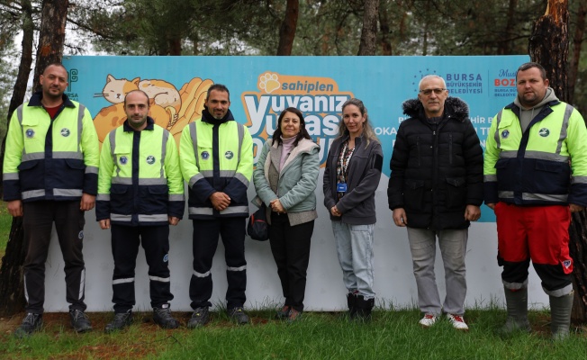 Bursa'da can dostlar yeni yuvalarına kavuşuyor