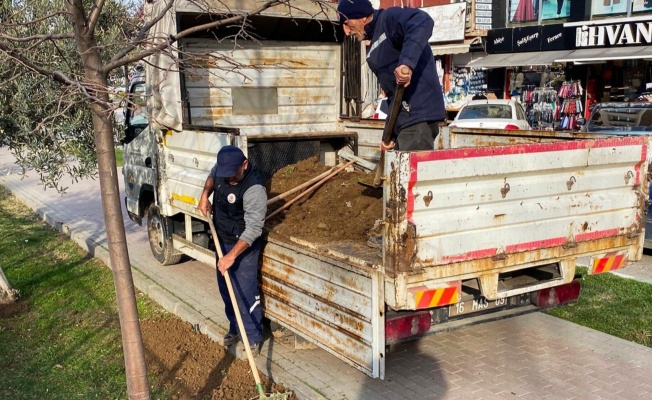 Gemlik'te Çevre Düzenleme Çalışmaları Devam Ediyor