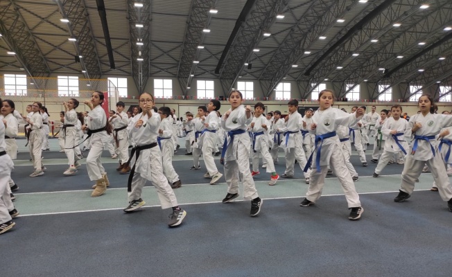 Osmangazi’de karate eğitim semineri