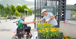 Mezarlıklarda çiçekler Gemlik Belediyesi’nden