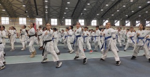 Osmangazi’de karate eğitim semineri